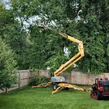 Best Commercial Tree Services  in Temple City, CA